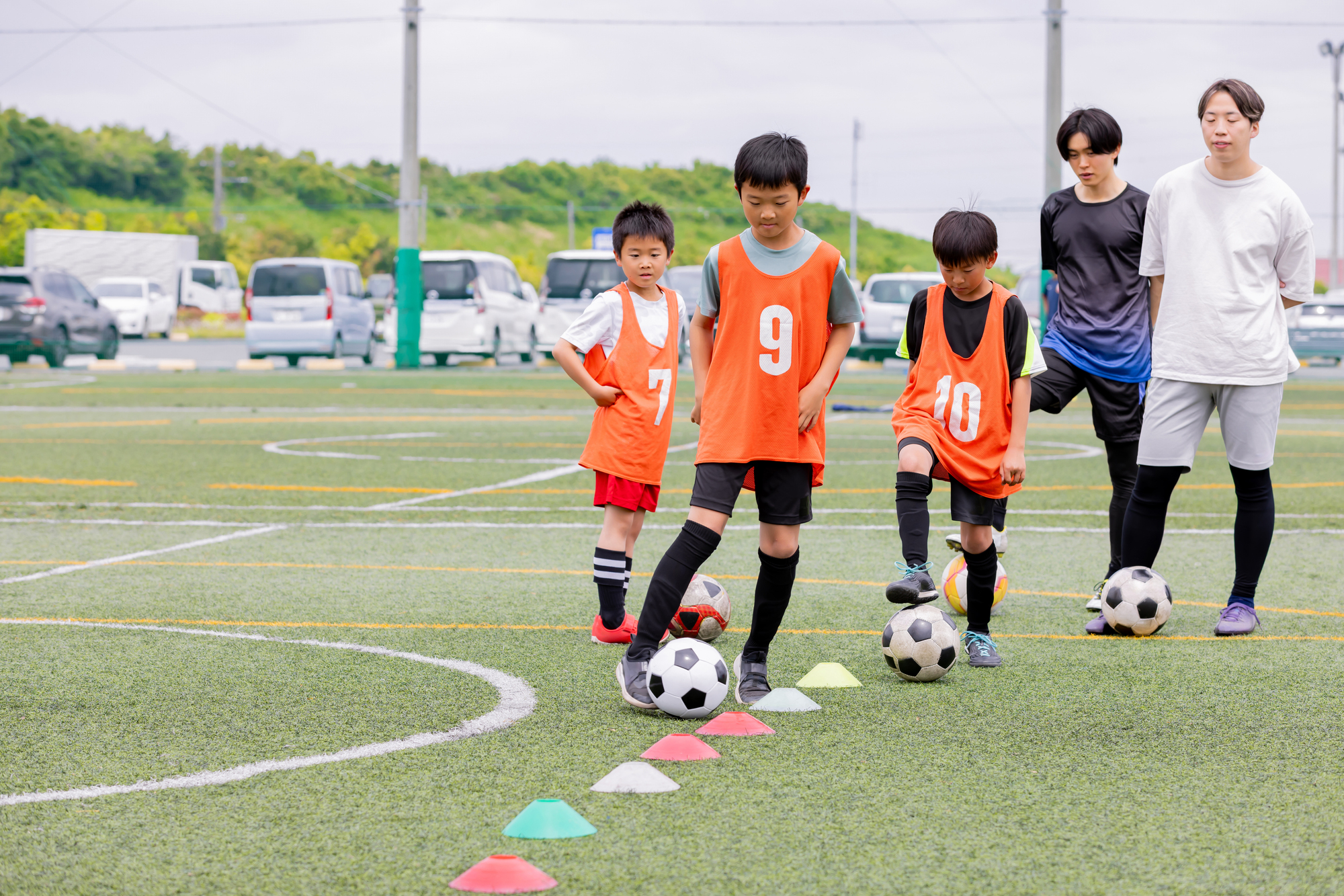 Sample
